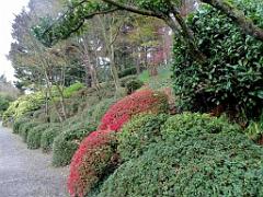 149 PARC ORIENTAL DE MAULEVIER MAINE ET LOIRE 2016 N1_000053